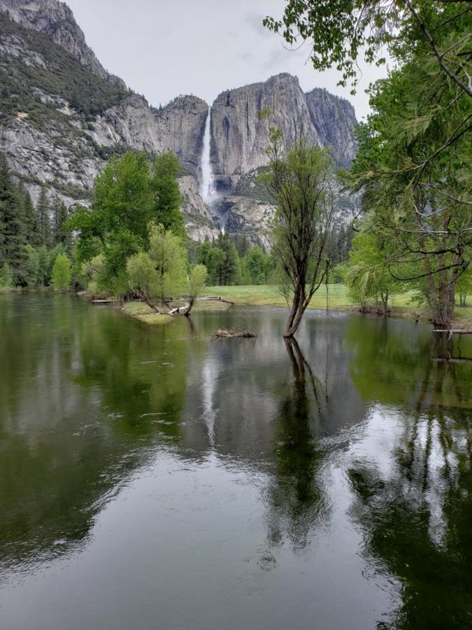 Yosemite Foothill Retreat - Private Guest Suite #2 Coarsegold Ngoại thất bức ảnh